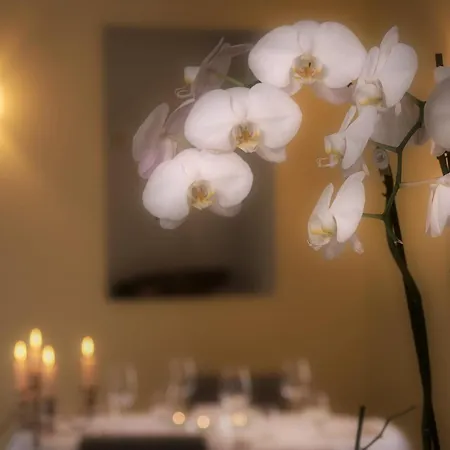 Frühstückspension Ristorante Charme Tre Terre Ponte Brolla