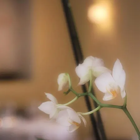 Ristorante Charme Tre Terre Frühstückspension